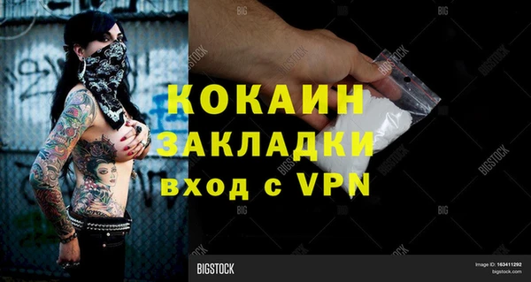 стафф Арсеньев