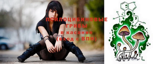 стафф Арсеньев