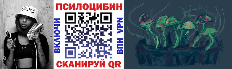 цена наркотик  Куртамыш  Галлюциногенные грибы MAGIC MUSHROOMS 